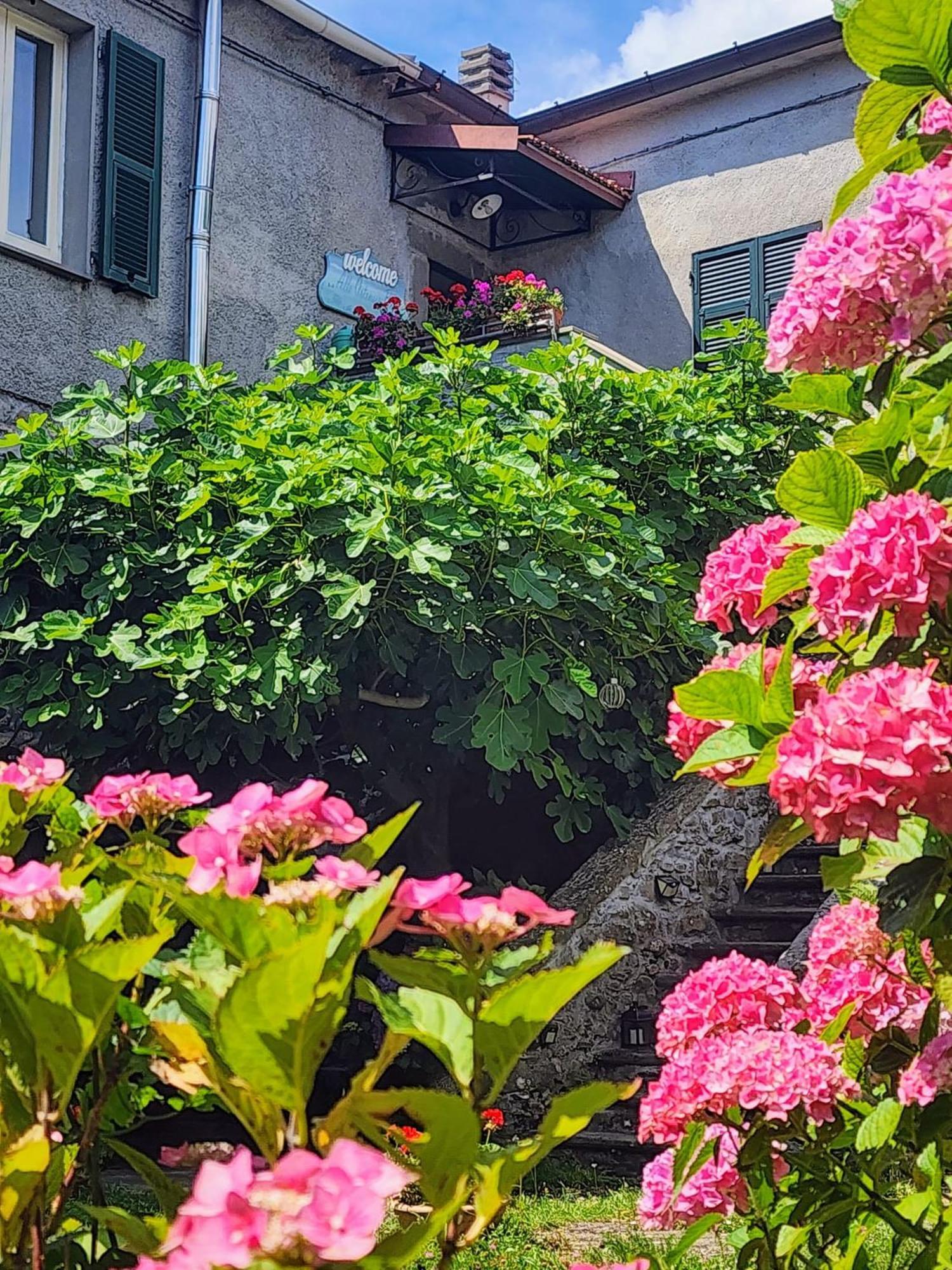 B&B Alle Ortensie Blu Sesta Godano Екстер'єр фото