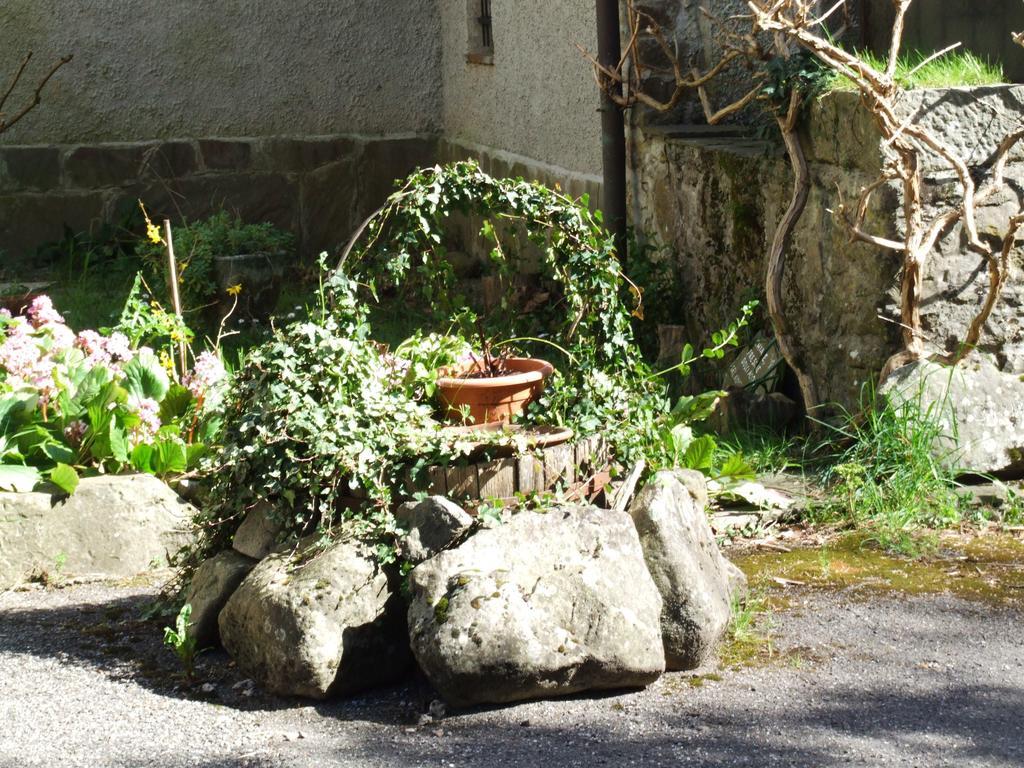 B&B Alle Ortensie Blu Sesta Godano Екстер'єр фото
